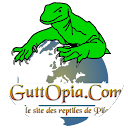 GuttOpia profile picture